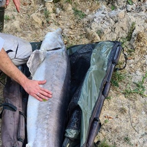 Carpiste passionné Mathias situé dans le département Vienne